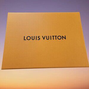 Louis Vuitton Large empty storage box